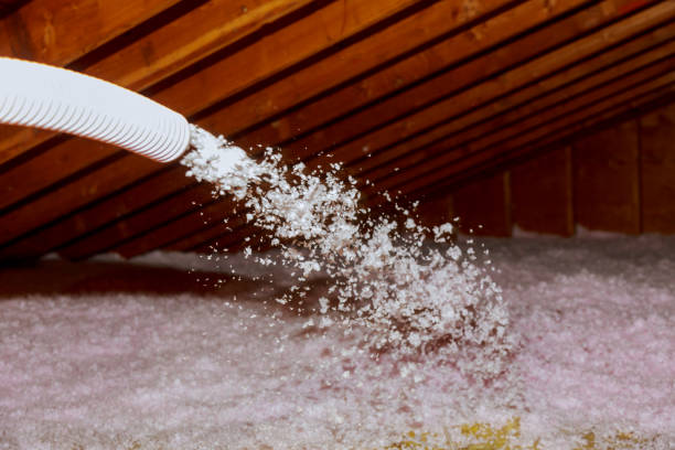 Best Insulation Replacement Services  in Cedar Heights, MD