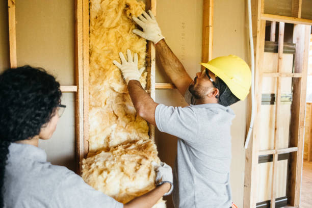Attic Insulation Near Me in Cedar Heights, MD