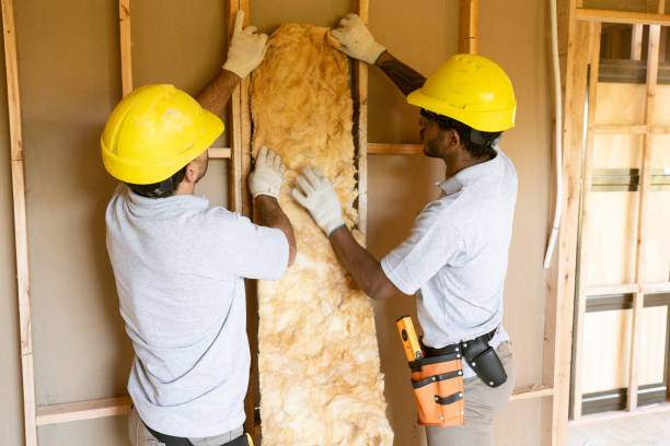 Best Spray Foam Insulation  in Cedar Heights, MD