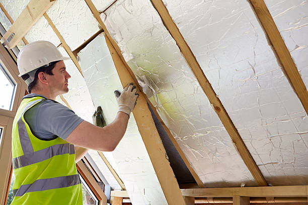 Best Best Insulation Companies  in Cedar Heights, MD