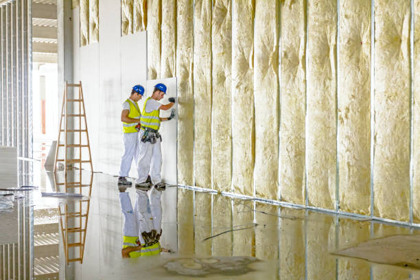 Best Commercial Insulation Contractor  in Cedar Heights, MD
